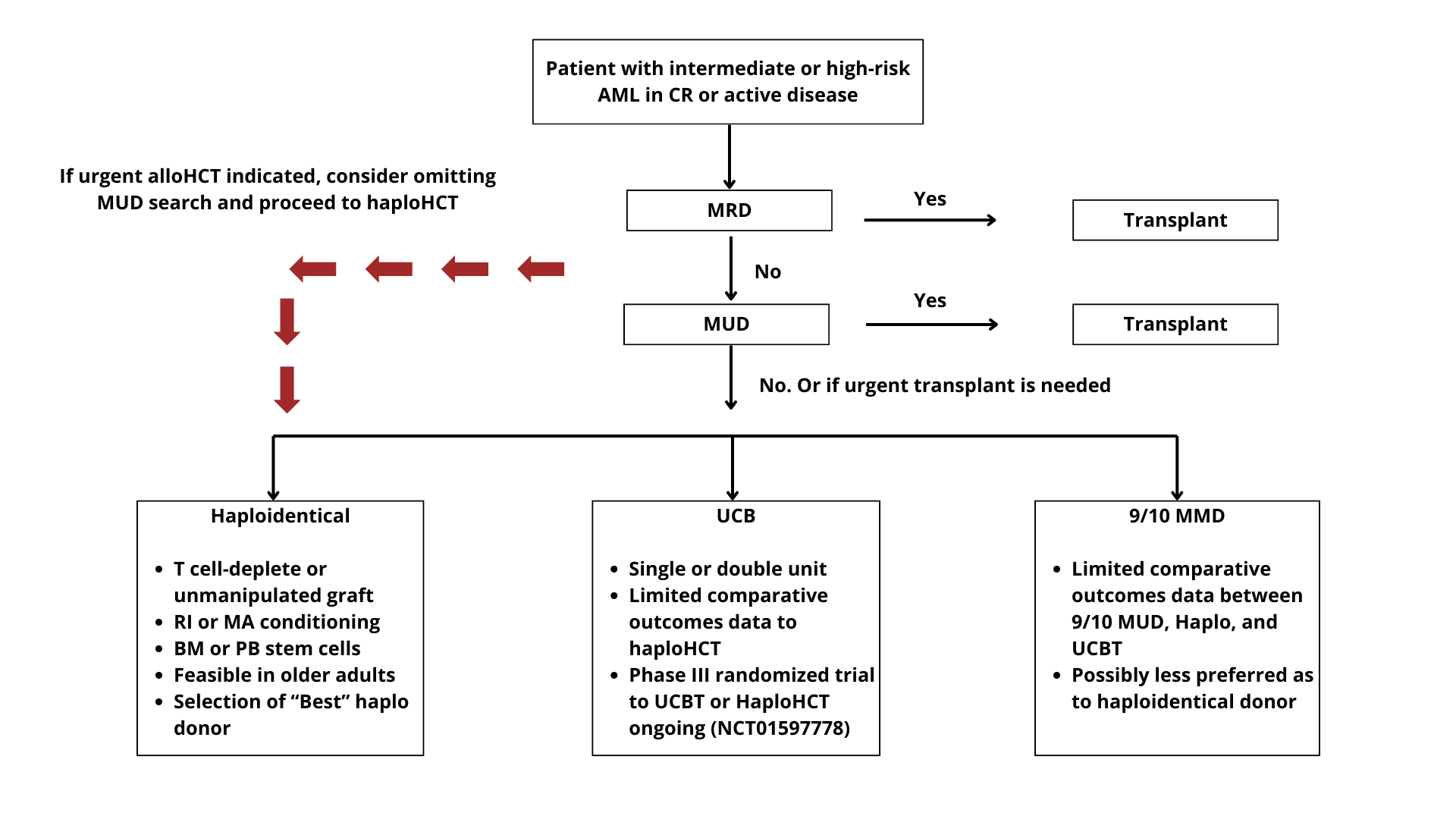 progenitores-hematologia
