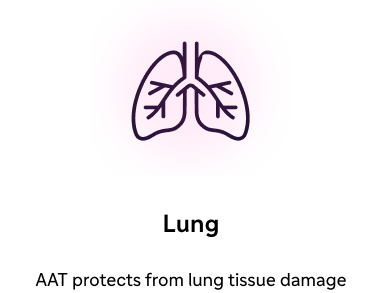 Lung icon