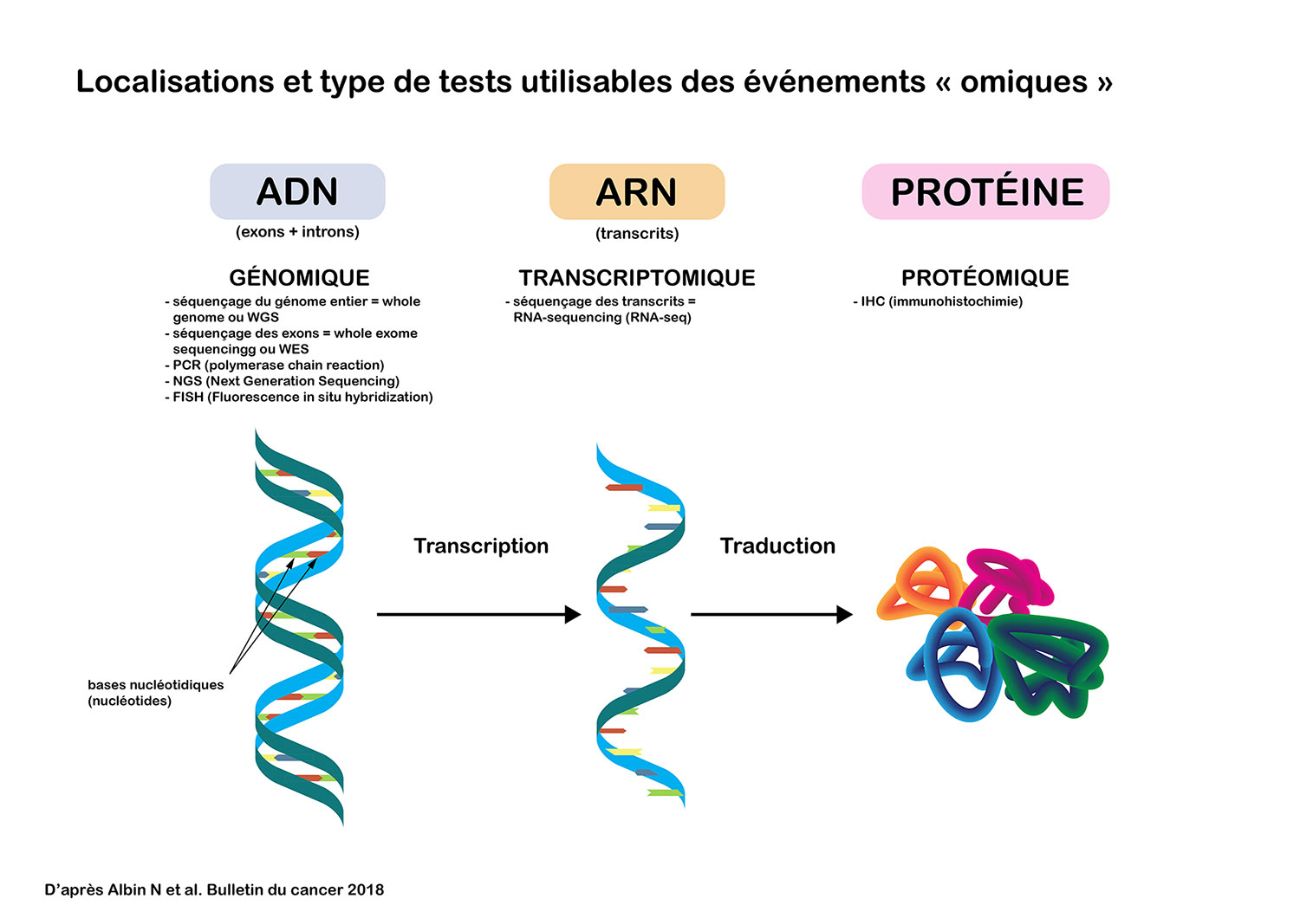 Localisation et type de tests utilisables des événements « omiques »