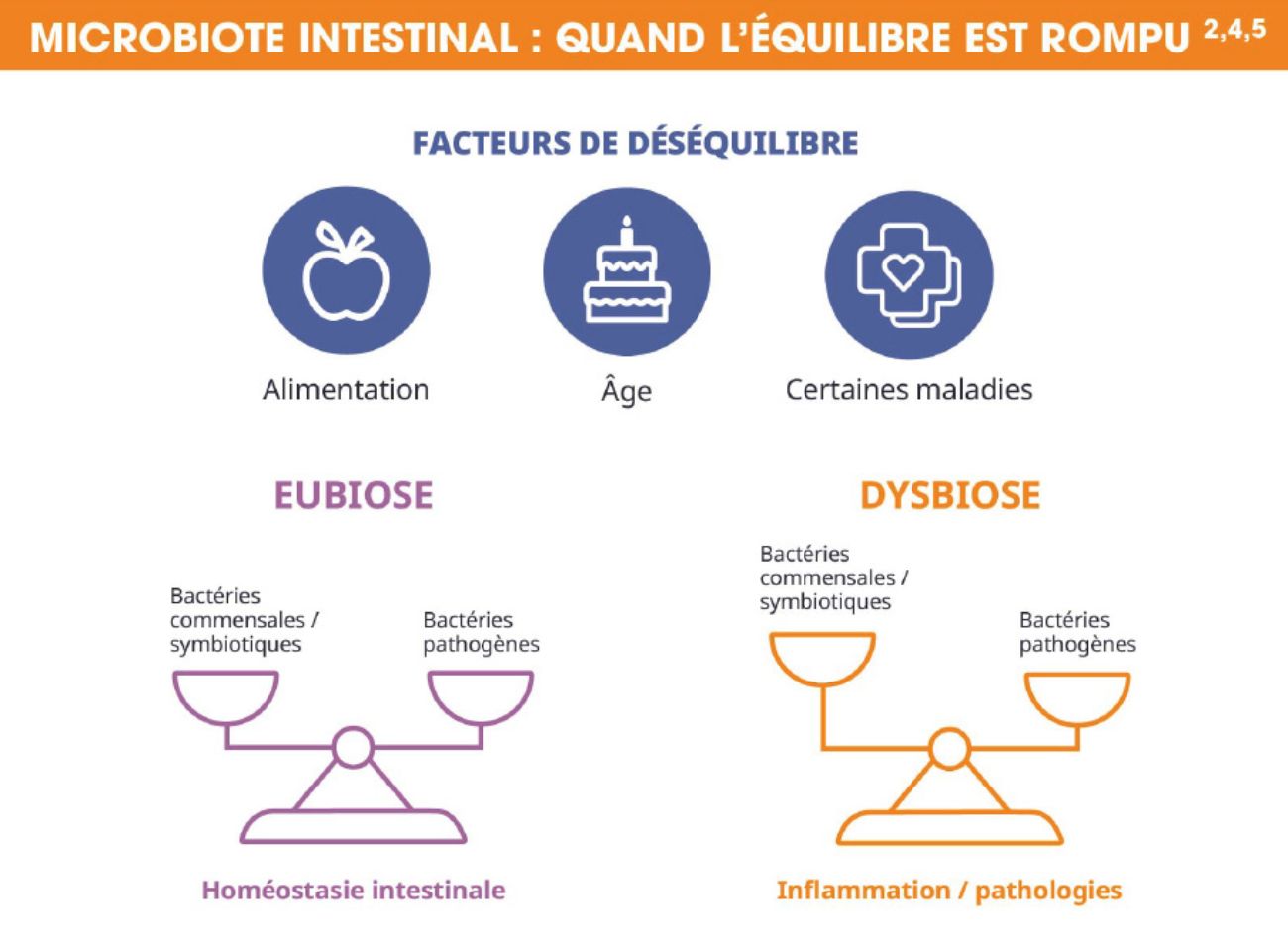 Facteurs de déséquilibre du microbiote intestinal