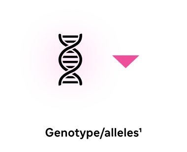 Flow chart step 1: DNA icon representing genetics, with pink arrow pointing to step 2