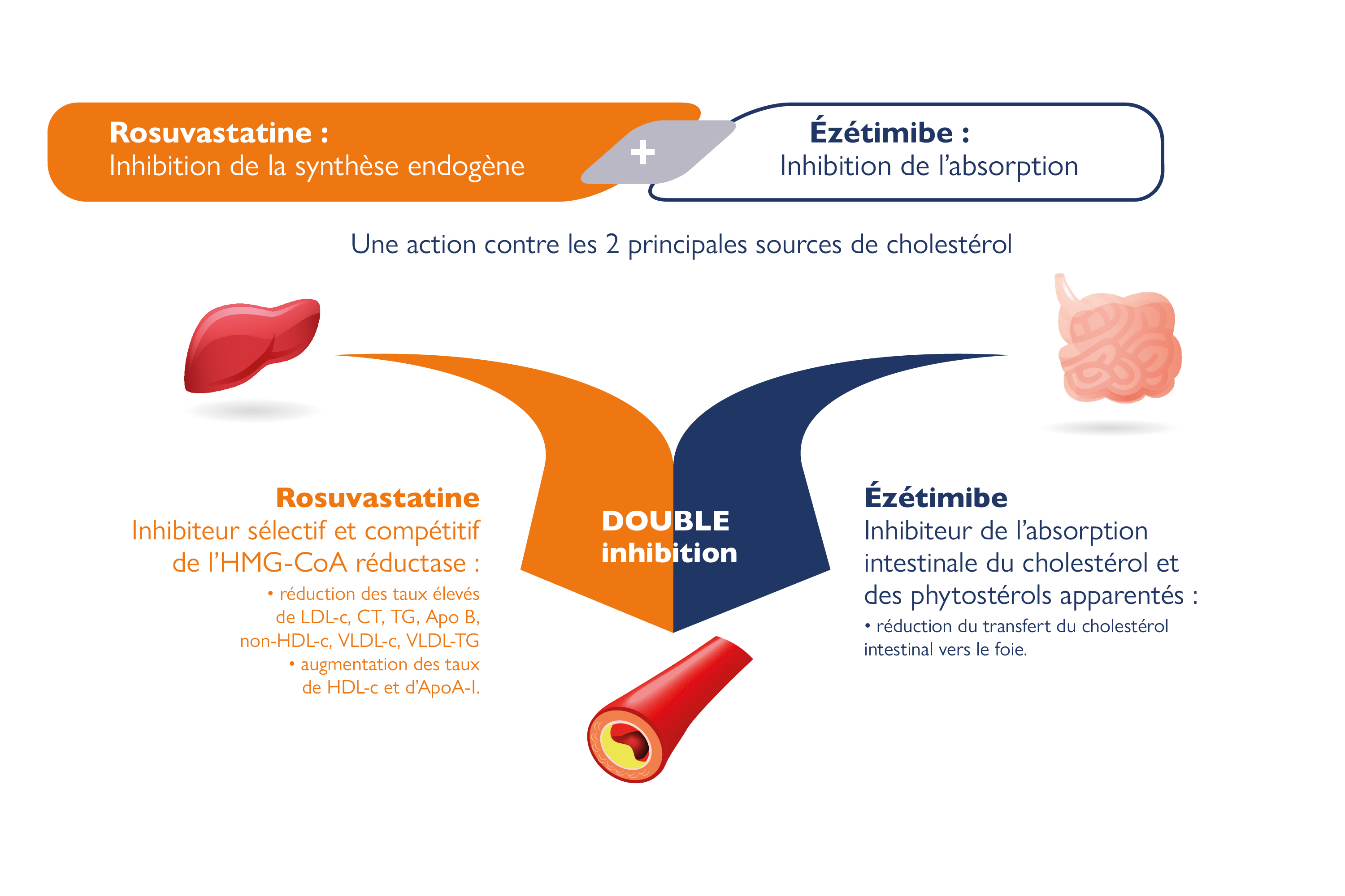 La double inhibition permise par Suvreza