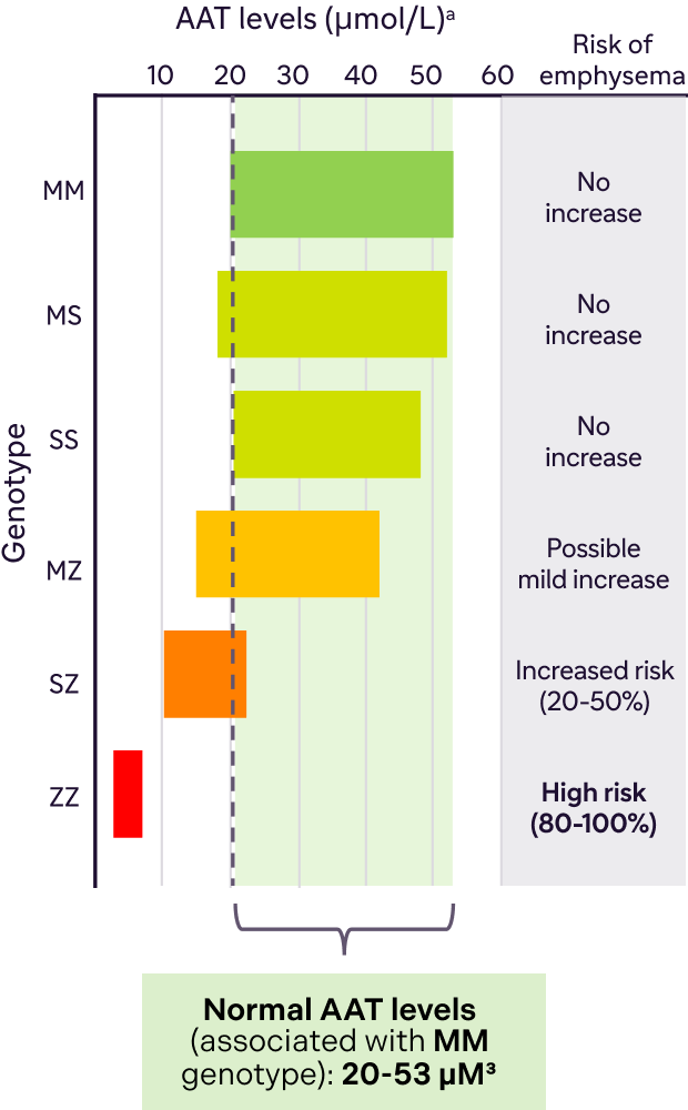 Bar chart showing typical range of AAT levels and associated relative emphysema risk by genotype, with a callout defining normal AAT levels in the MM genotype as 20 to 53 µM