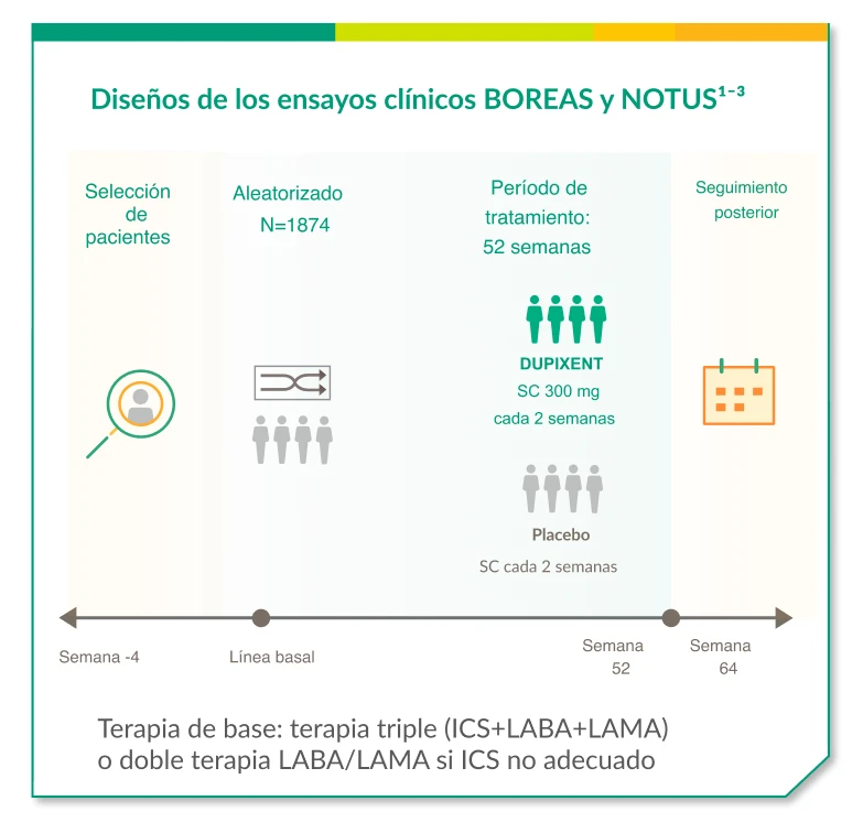 Diseño de ensayos clínicos BOREAS y NOTUS