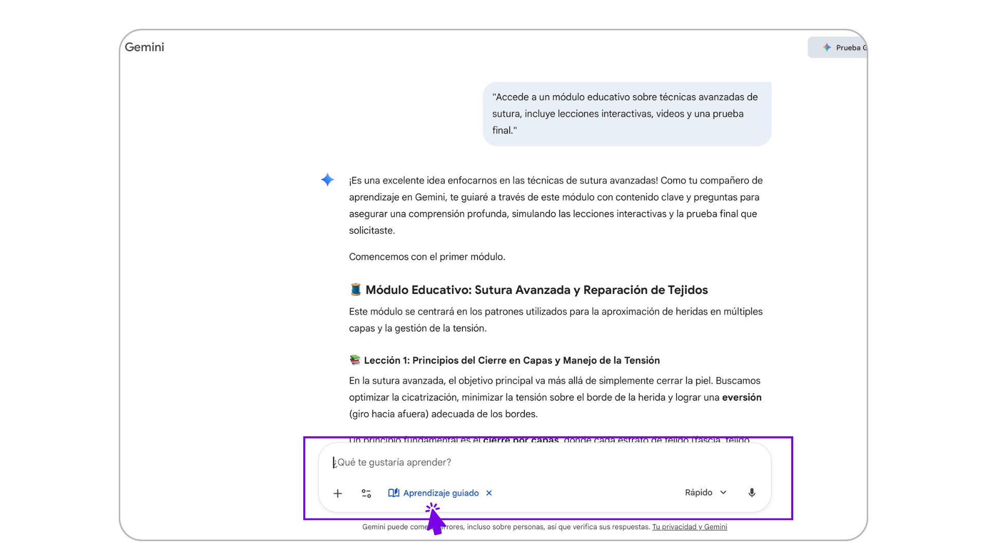 imagen funcionalidad Aprendizaje Guiado Gemini