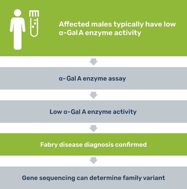 Diagram of steps to confirm Fabry disease diagnosis in affected males via α-Gal A enzyme assay as well as gene sequencing to determine family variant
