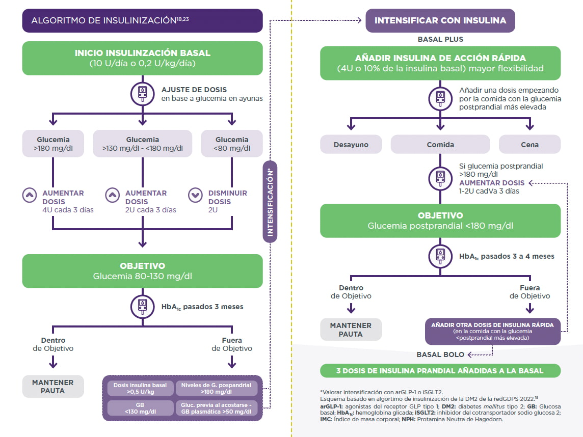 algoritmo insulinizacion