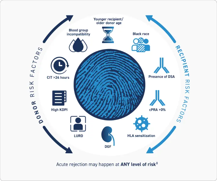 Graphic showing donor and recipient risk factors for acute rejection arranged around a central fingerprint design. Donor risk factors include blood group incompatibility, cold ischemia time (CIT) greater than 24 hours, high KDPI, living unrelated donor (LURD), and delayed graft function (DGF). Recipient risk factors include younger recipient or older donor age, Black race, presence of DSA, cPRA greater than 0%, and HLA sensitization. Text below reads ‘Acute rejection may happen at ANY level of risk8.