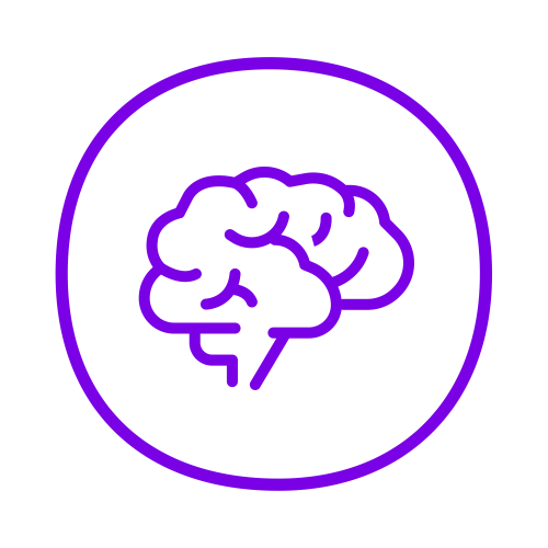 Schematische Darstellung des Gehirns