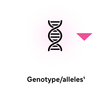 Flow chart step 1: DNA icon representing genetics, with pink arrow pointing to step 2