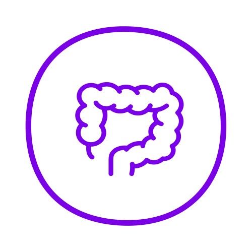 Schematische Darstellung des Darms