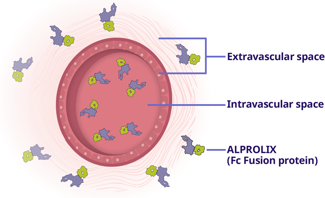 pathway structure