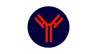 icon ia-2a