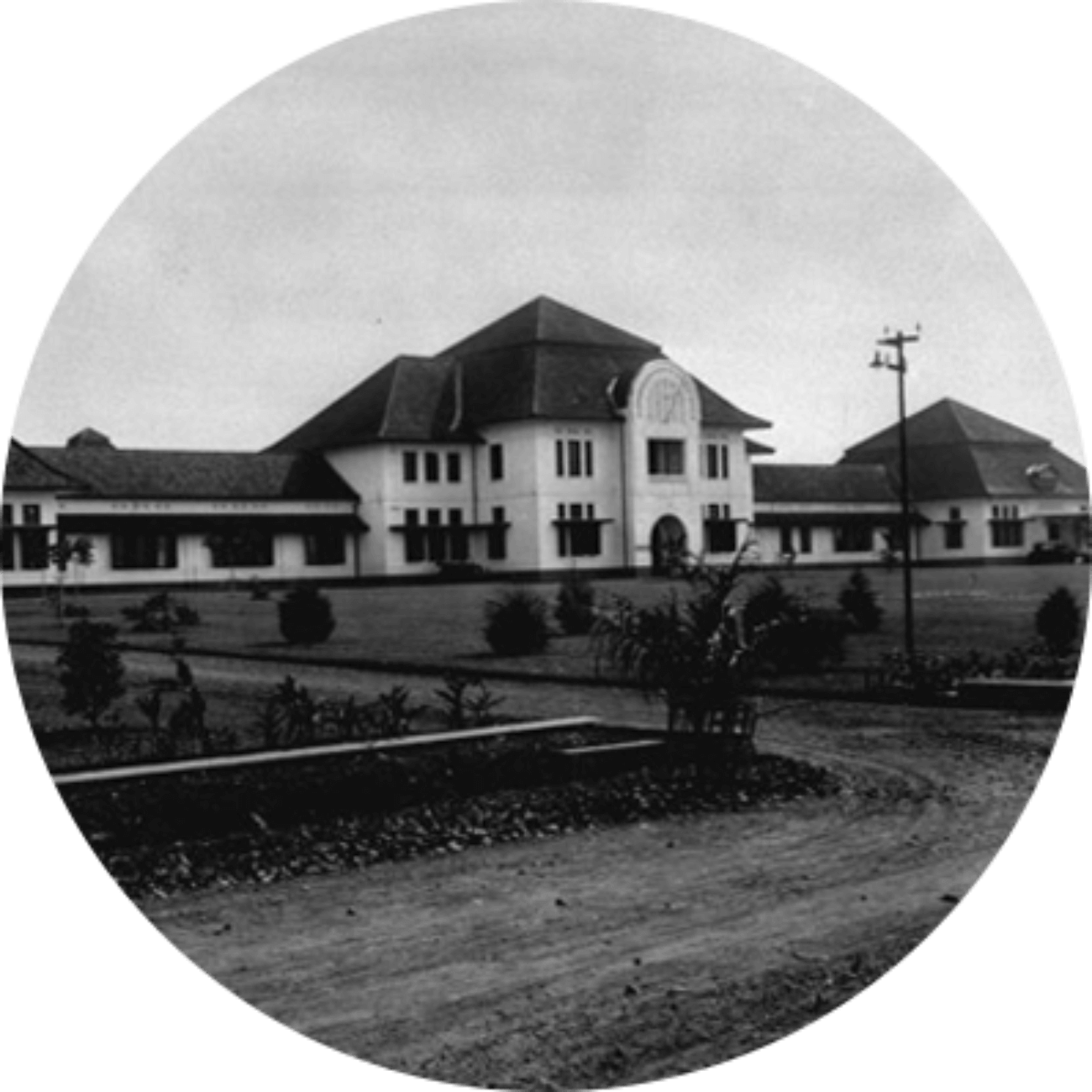 timeline-home
