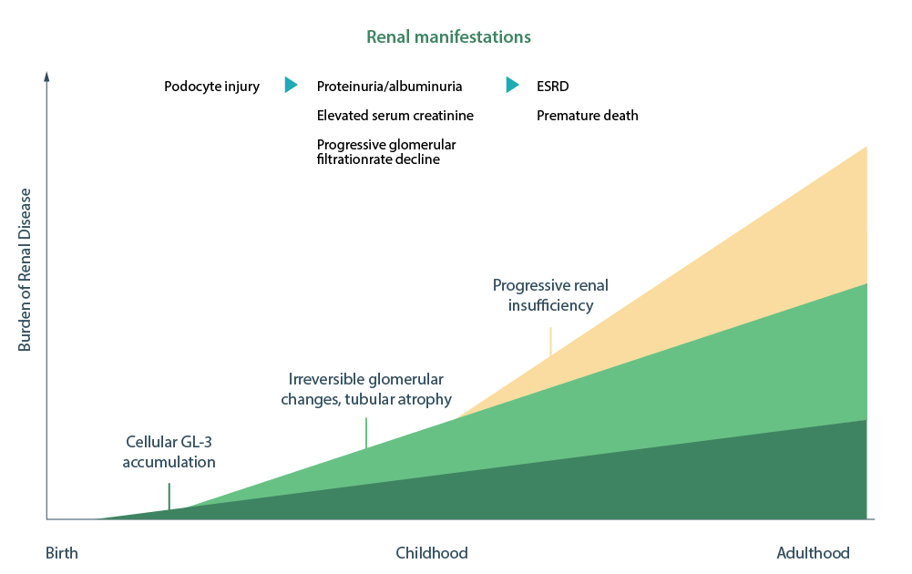 renal-involvement-graph