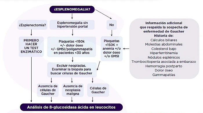 enfermedad-gaucher-algoritmo-diagnostico