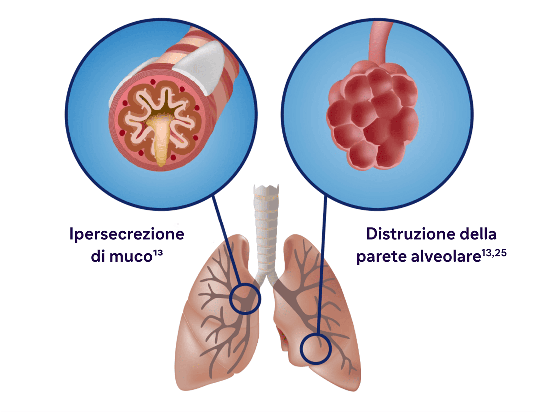 reduced image size
