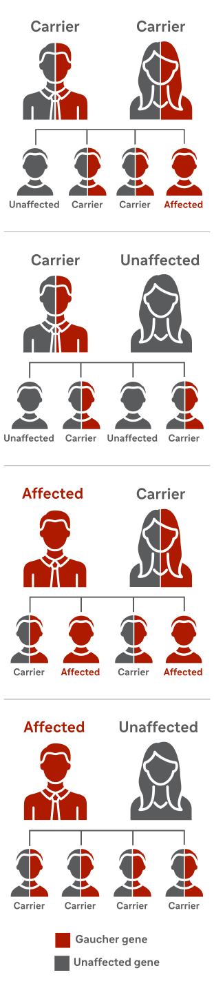 Gaucher-unbranded_Inheritance-chart Mobile