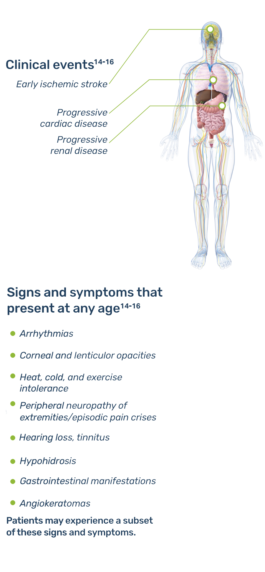 Illustration showing where Fabry disease symptoms and clinical events present in the body