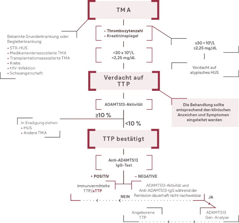 Flussdiagramm zur Differentialdiagnose bei TMA