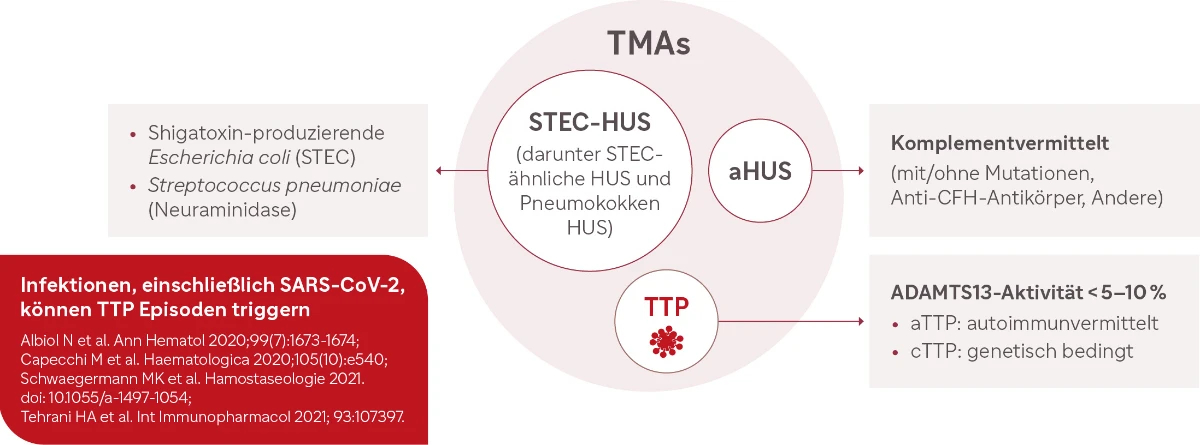 Grafische Übersicht zu den drei Hauptformen der TMA: STEC-HUS (ausgelöst durch Bakterien), aHUS (komplementvermittelt) und TTP (definiert durch ADAMTS13-Aktivität < 5–10 %, unterteilt in autoimmun und genetisch)