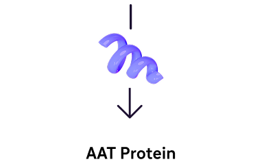 Alpha-1 (AAT) protein icon with directional arrow