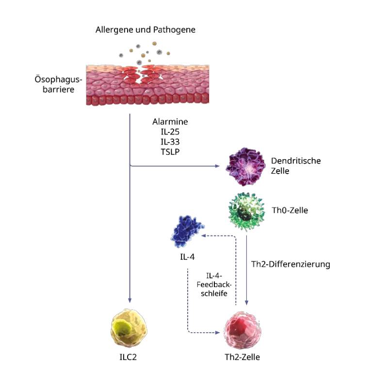 Allergene-und-Pathogene