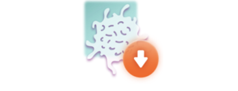 btk inhibitors