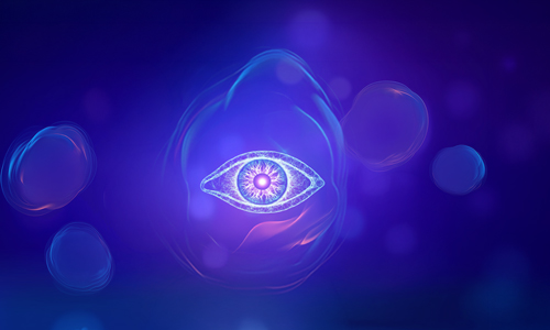 Enfermedad Injerto Contra Receptor crónica