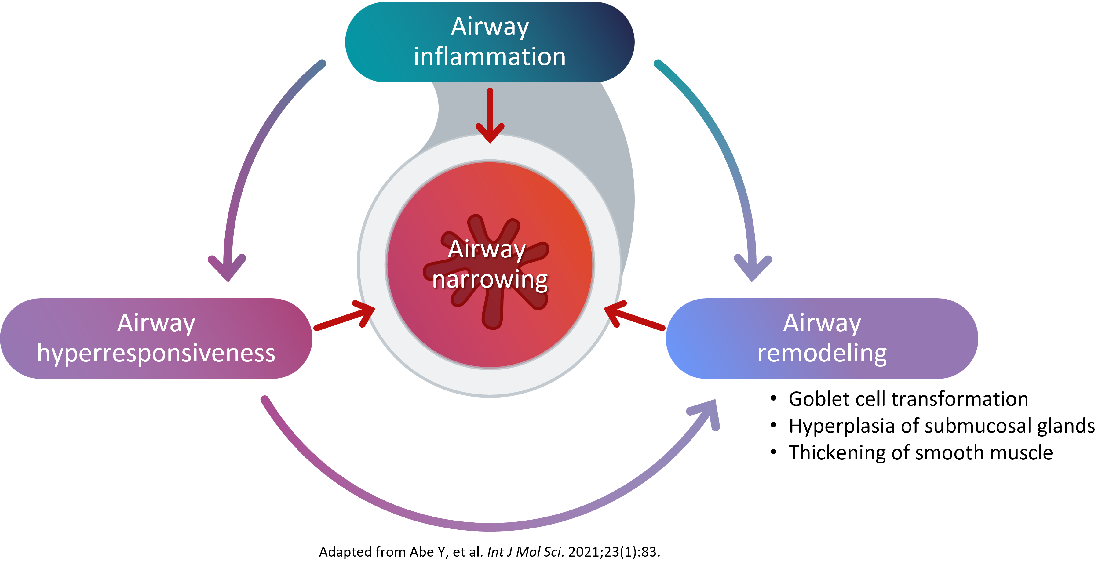 Airway narrowing