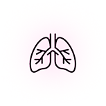 Lung icon
