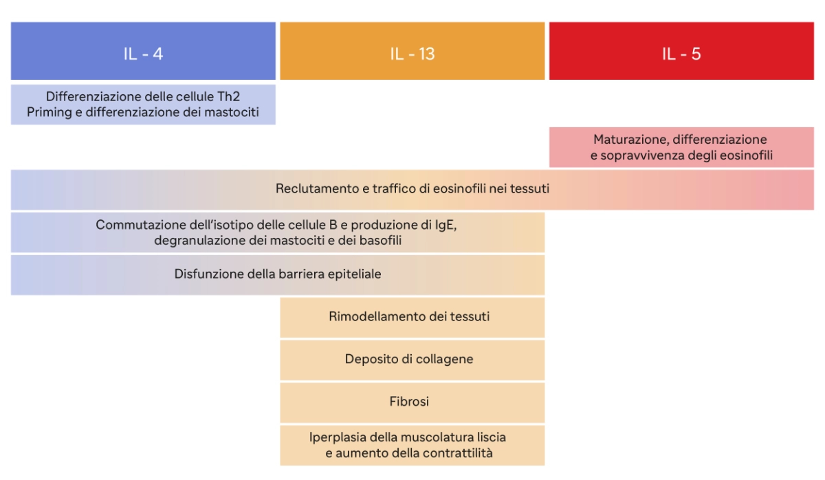 Sanofi_EoE-03