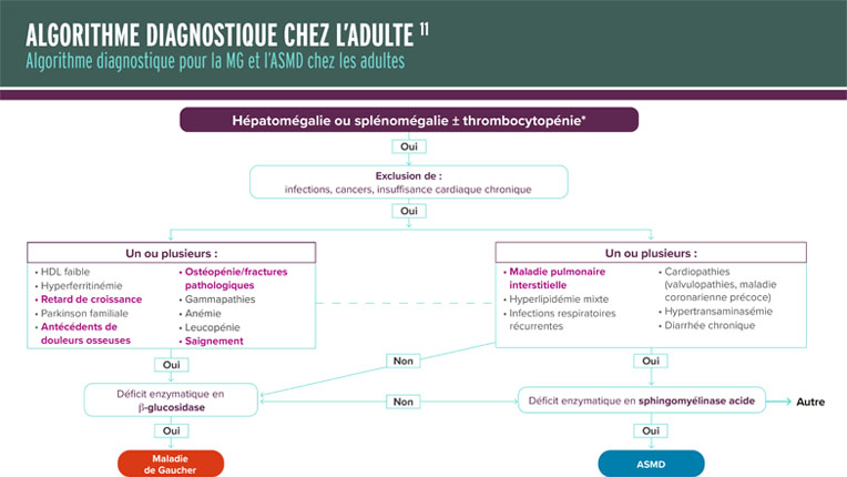 fiche-synthese-asmd-adulte