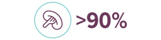 Icon einer Milz mit dem Text '>90%' rechts daneben