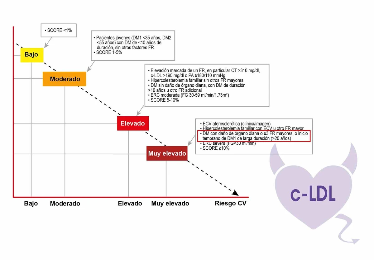 objetivo-c-LDL-Paciente-diabetes-mellitus-dislipemia