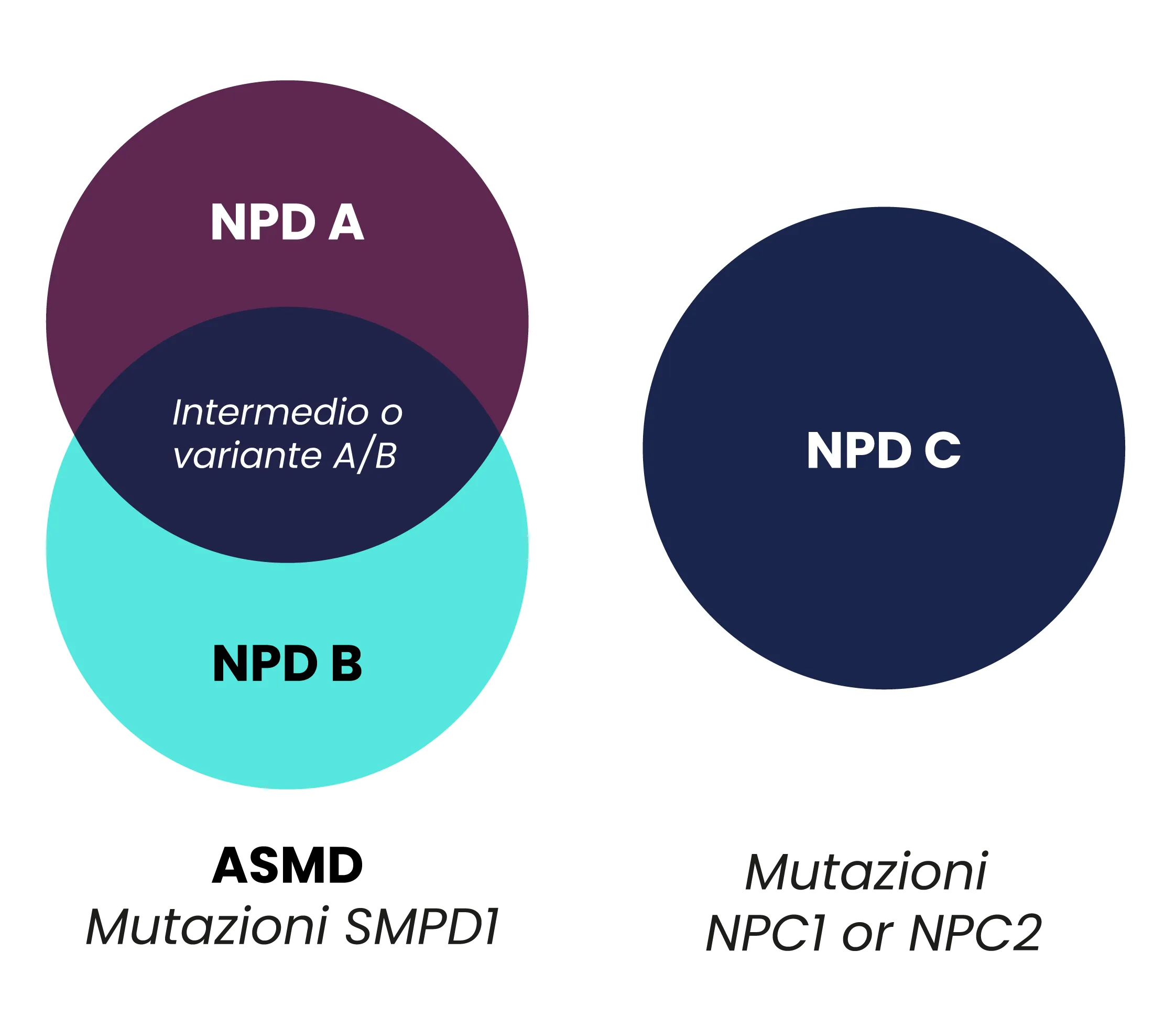 mutazioni asmd