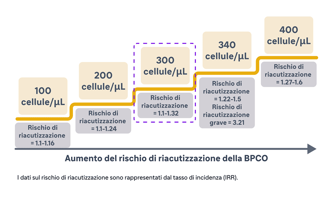 compressed image size