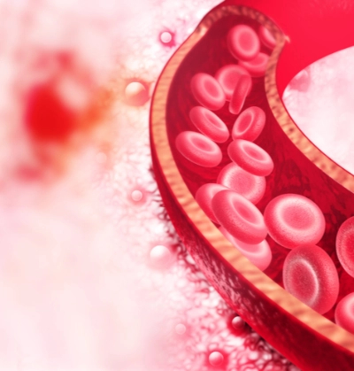 timoglobulina-trasplante-hematopoyetico