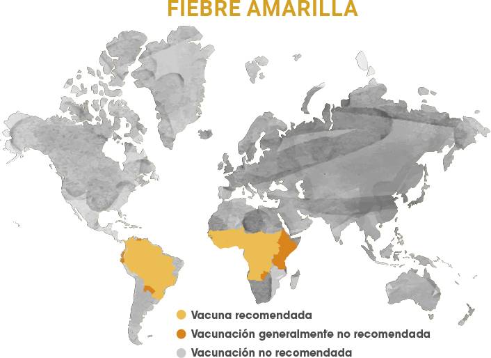 grafica1