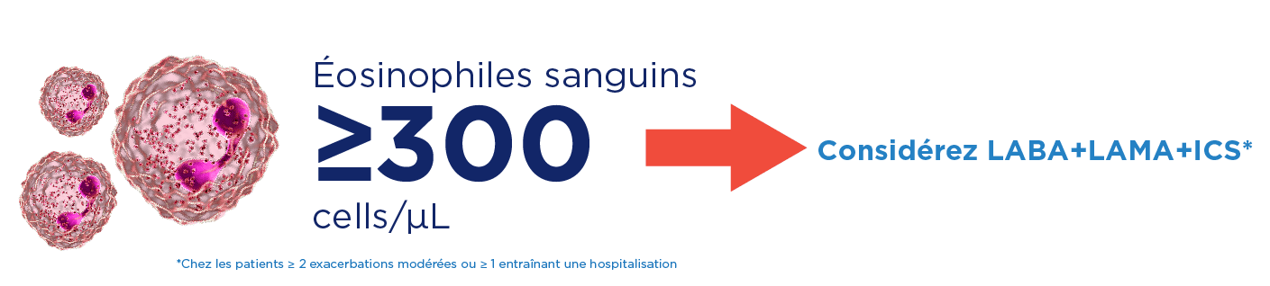 schema-eosinophiles-sanguins-300