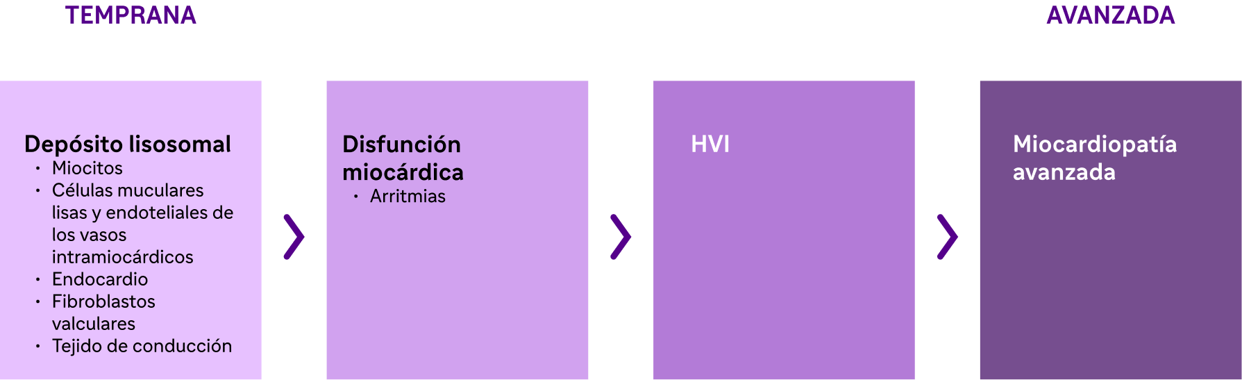 Evolución de la miocardiopatía en la enfermedad de Fabry: depósito lisosomal, disfunción miocárdica, hipertrofia ventricular izquierda (HVI) y miocardiopatía avanzada