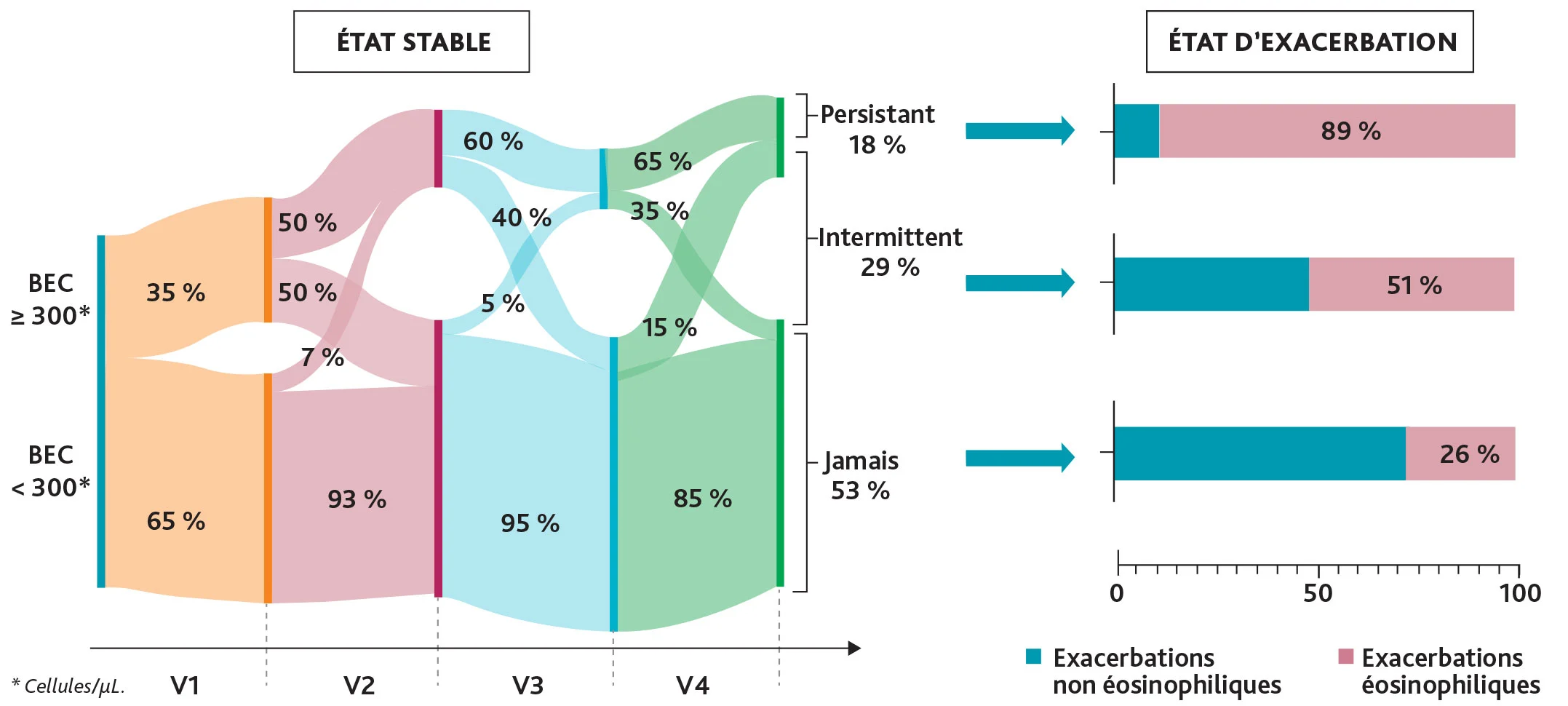 Graphique sur la variabilité de l'éosinophilie sanguine dans la BPCO. Section "État stable" : démontre l'instabilité d'une mesure unique. Et section "État d'exacerbation" : proportion d'exacerbations éosinophiliques selon trois groupes de patients : persistant, intermittent, et jamais éosinophilique.