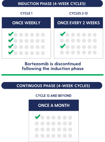 Charts showing that dosing schedule for the induction phase (4-week cycles) is once weekly for cycle 1, and once every two weeks for cycles 2-12. Bortezomib is discontinued following the induction phase. The dosing schedule for the continuous phase (4-week cycles) is once a month for cycles 13 and beyond.