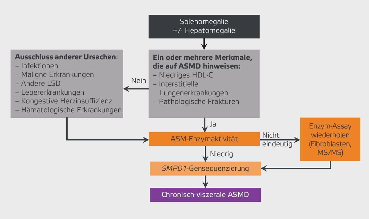 Flussdiagramm zur Diagnose der chronisch-viszeralen ASMD