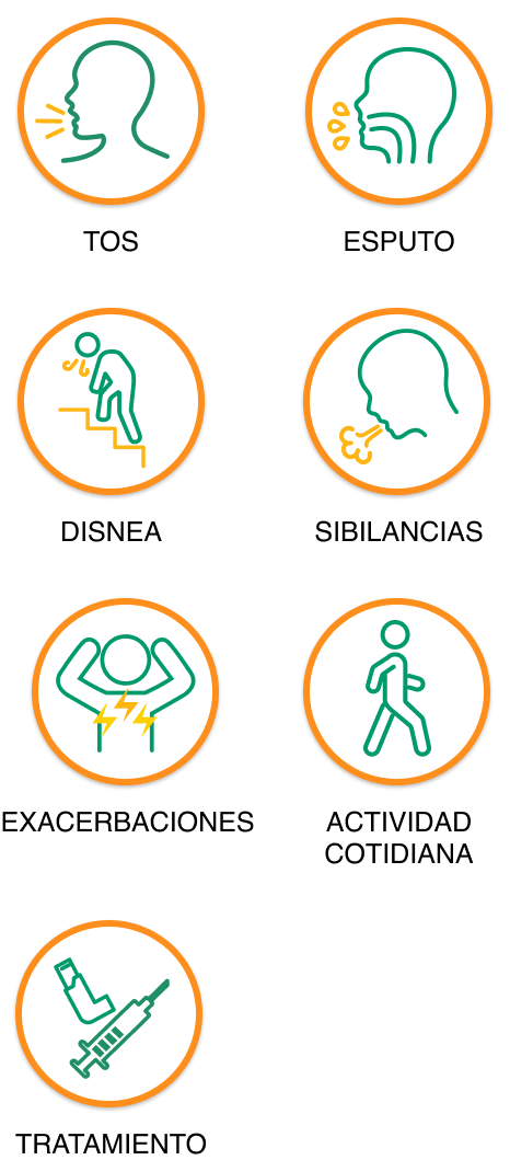 evaluación puntuación escala E-RS:COPD
