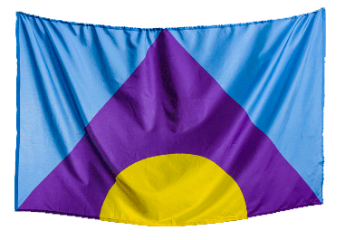 bandera-meningitis-1