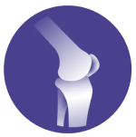 Joint icon