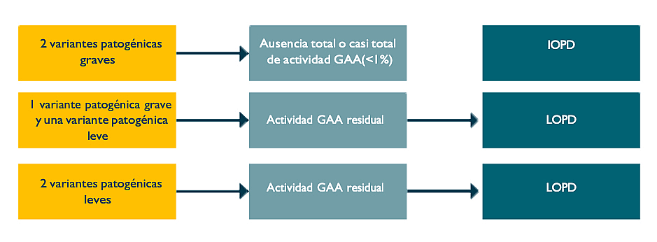 genetica-enfermedad-pompe