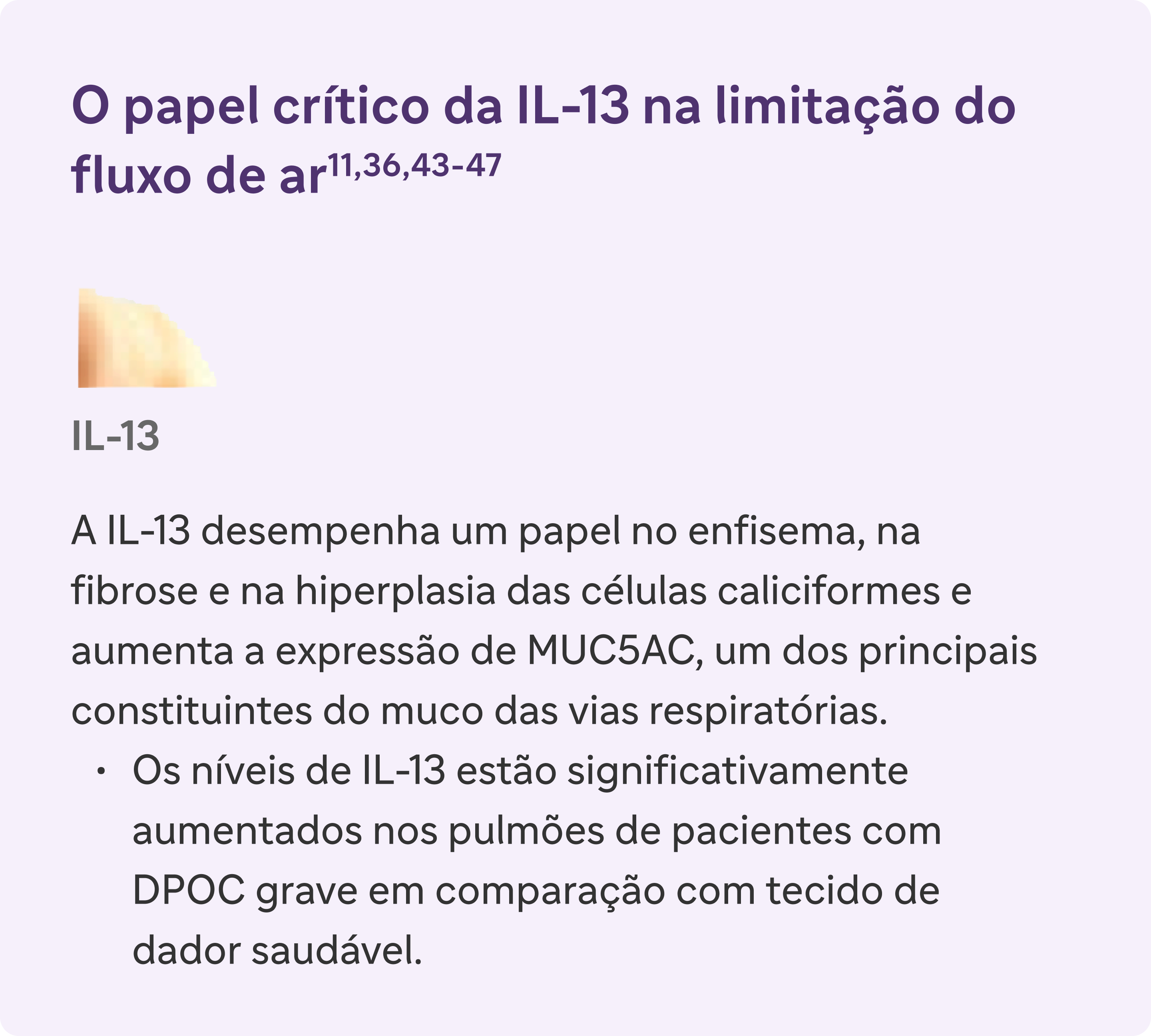 O papel crítico da IL-13 na limitação do fluxo de ar