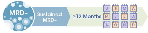 asset 206 20 1